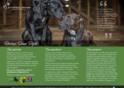 Paddy’s Paws Rescue Brochure